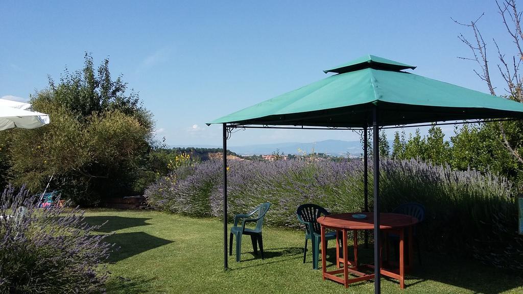 Montepulciano Stazione弗拉特里亚圣贝内代托旅馆别墅 外观 照片